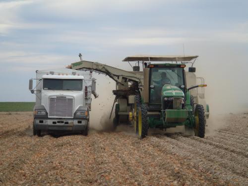 Utah Onions Inc. Announces Partnership with Gerrald's Vidalia SweetsÂ®